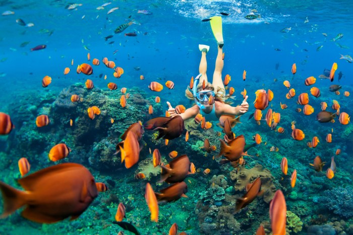 Tropical travel spots for snorkeling