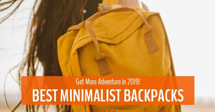 Backpacks backpack Best minimalist travel backpacks