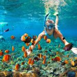 Tropical travel spots for snorkeling